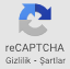 reCAPTCHA